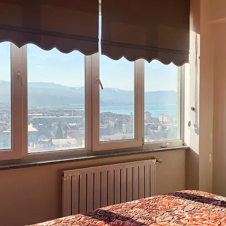 Apartment Dream *