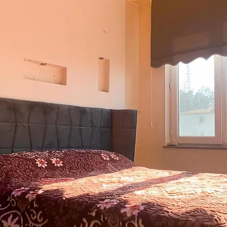 Apartment Dream *